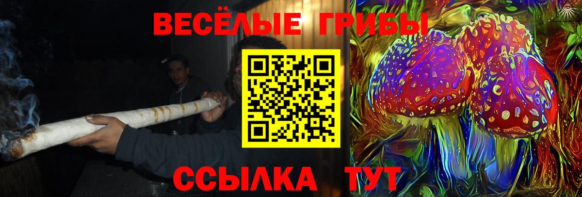 Белорецк  дарнет шоп  Вход с VPN  Псилоцибиновые грибы Psilocybine cubensis 